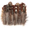 thumbnail image 1 of 100 Pcs 2-3 Inch Natural Pheasant Feathers Bulk Various Colors Natural Feather Crafts Clothing Hat Sewing Decorating, 1 of 5