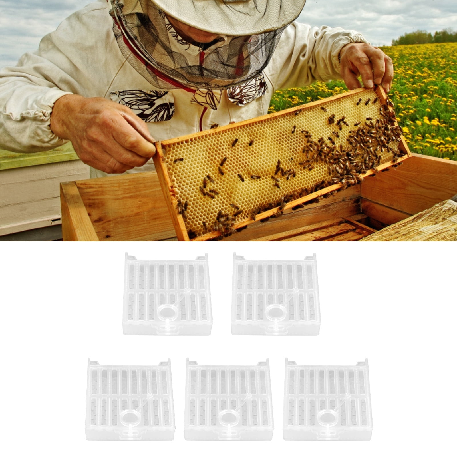 10pcs Plastic Queen Bee Cages Isolator Rearing Beekeeper Beekeeping To N ji 