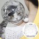 thumbnail image 5 of La mejor mascarilla para gatos para peluquería y visitas al veterinario - Transparente, transpirable con doble bloqueo para evitar arañazos, 5 of 8