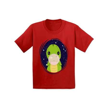 

Baby T Shirts - 6 - 12 -18 -24 Months - Dinosaur T-shirt