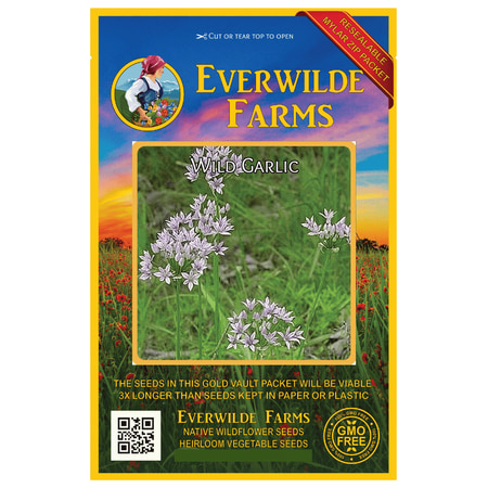 - Everwilde Farms - 50 Wild Garlic Native Wildflower Seeds - Gold Vault Jumbo Bulk Seed Packet