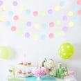 thumbnail image 5 of Tssuoun Circle Dot Garland Memorable Dots Hanging Easy Assemble Exquisite Stage Background Party Supplies for Wedding Birthday, 5 of 6