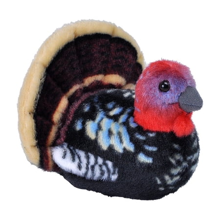 Wild Republic Audubon Bird Wild Turkey Stuffed Animal  5.5 Inches price history on PriceWatchPro