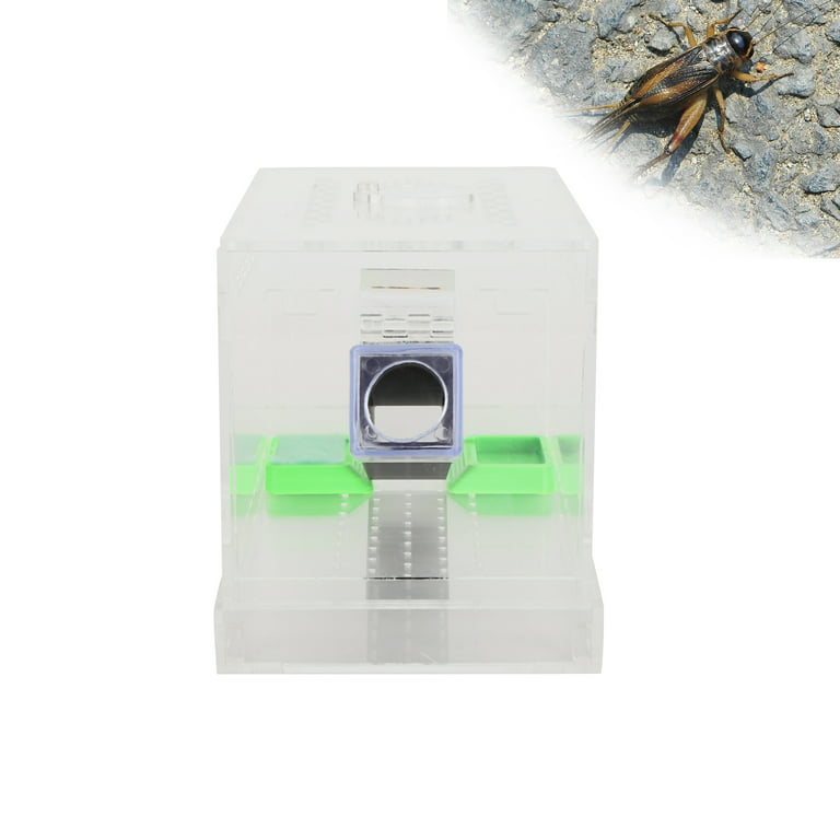 Fyydes Acrylic Feeding Cricket Keeper Pen with Tubes Cockroach
