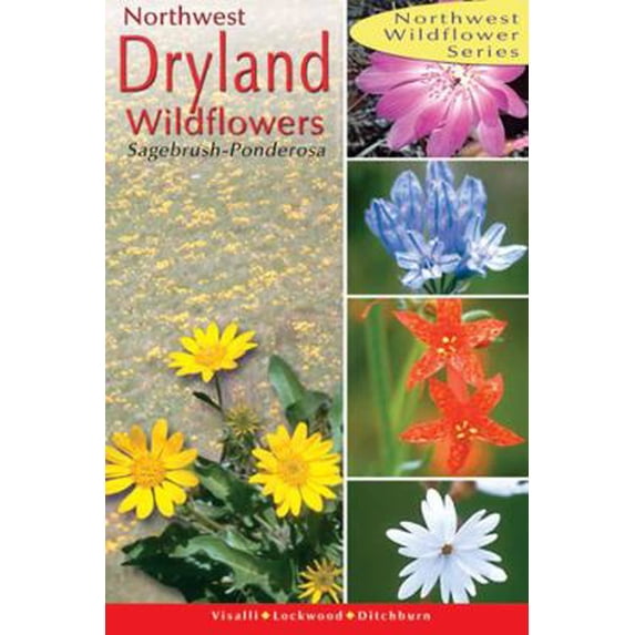 Pre-Owned Northwest Dryland Wildflowers: Of the Sagebrush and Ponderosa (Northwest Wildflowers Series) (Paperback) 0888395175 9780888395177