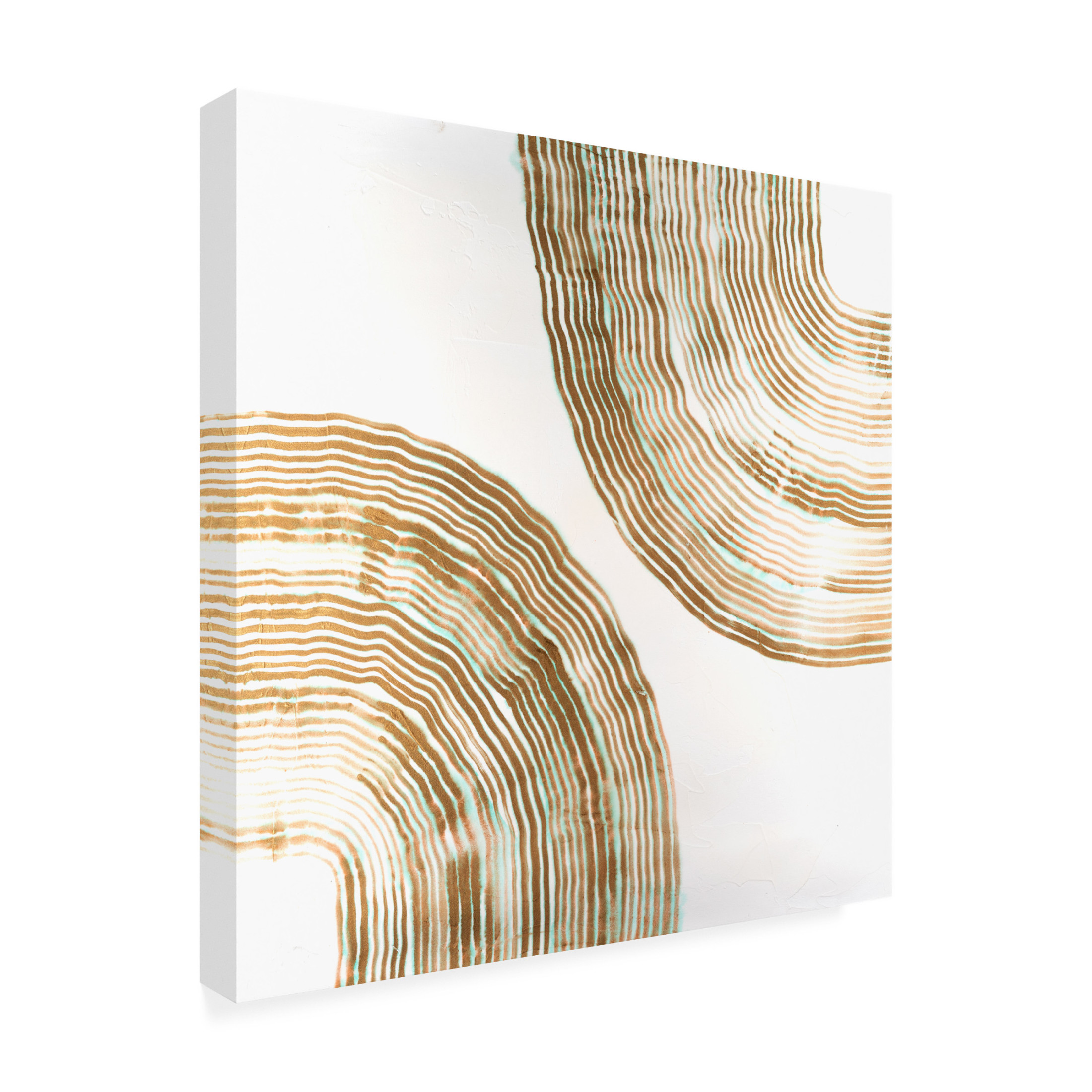 Canvas Wall Art - Vanna Lam 'Sisal I' Wall Art for Living Room, Bedroom, or Office Décor by Trademark Fine Art - 24 x 24 Inches