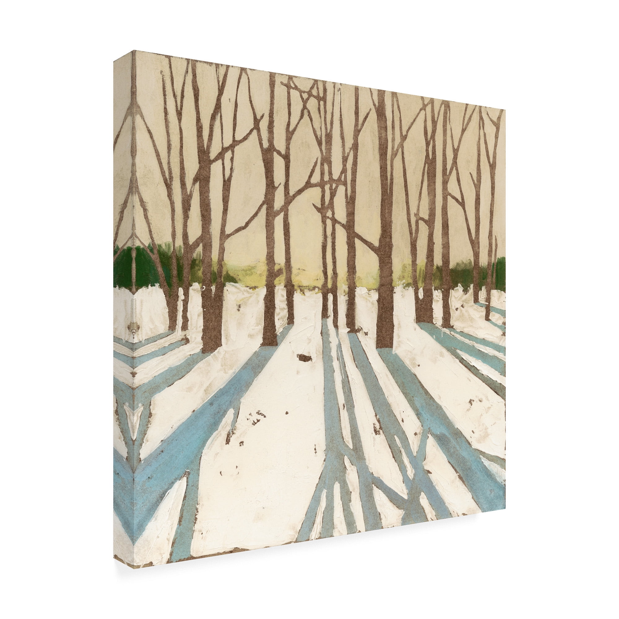 Trademark Fine Art 'Winter Shadows II' Canvas Art by Megan Meagher