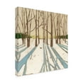 thumbnail image 2 of Trademark Fine Art 'Winter Shadows II' Canvas Art by Megan Meagher, 2 of 3