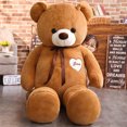 thumbnail image 3 of Bufanda gigante de oso de peluche, oso kawaii suave con amor, regalos populares de cumpleaños y San Valentín para amantes y amigos, 60/80/100 cm, 3 of 5