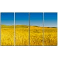 thumbnail image 2 of Tuscany Whet Field on Sunny Day - Landscape Artwork Canvas, 2 of 3