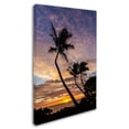 thumbnail image 2 of Trademark Fine Art 'Kauai Sunrise' Canvas Art by Pierre Leclerc, 2 of 3