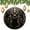 pattern-4, variant on Ceramics Ornaments Autumn Halloween 2024 Ornament Black Cats with Golden Stars Xmas Tree Decorations Flat Circle Ceramic Ornament Christmas Ornament for Family Sister Friend