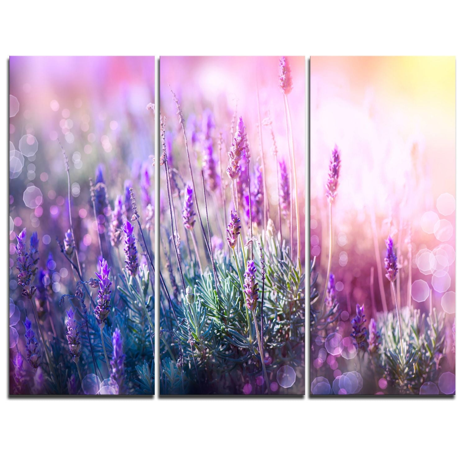 Design Art Growing And Blooming Lavender Floral Photo Canvas Art Print