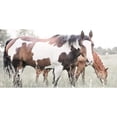 thumbnail image 3 of Robinson, Carol 14x9 Black Modern Framed Museum Art Print Titled - Grazin, 3 of 5