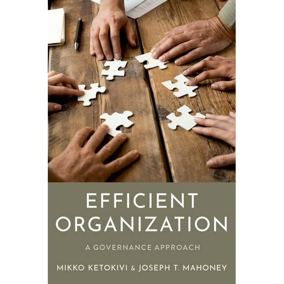 Efficient Organization: A Governance Approach, (Paperback)