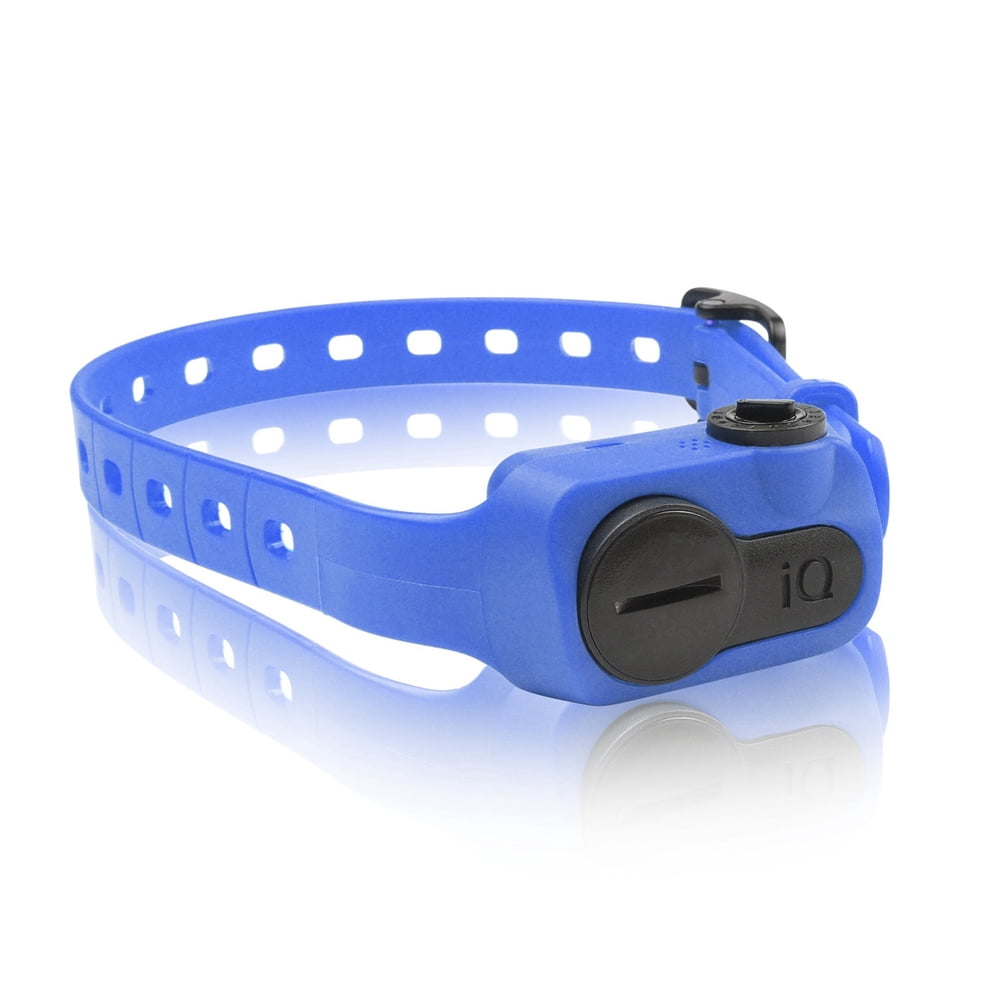 Dogtra iQ Pet No Bark Dog Collar, Blue