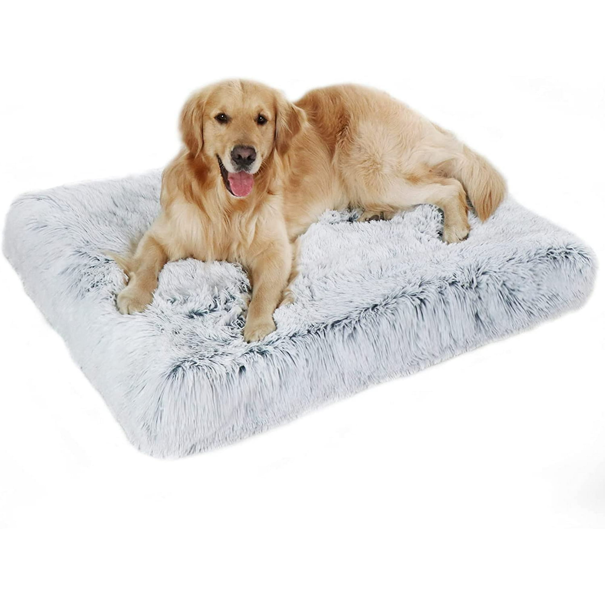 Bed bath and beyond orthopedic dog bed hot sale