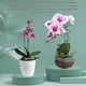thumbnail image 2 of juego de soporte para flores en espiral para macetas de jardín, 2 of 6