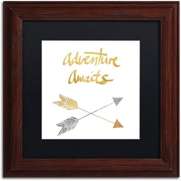 Trademark Fine Art "Adventure Arrows" Canvas Art by Lisa Powell Braun, Black Matte, Wood Frame