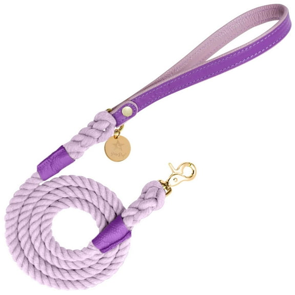 PoisePup Pet Dog 5ft Long Leash - Lavish Lavander