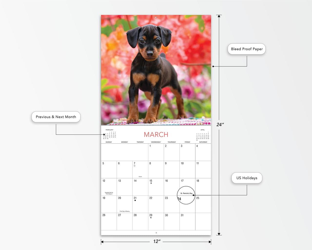 2023-12 Month Calendar-Puppies 12x12 Hanging Wall Calendar by DaySpring