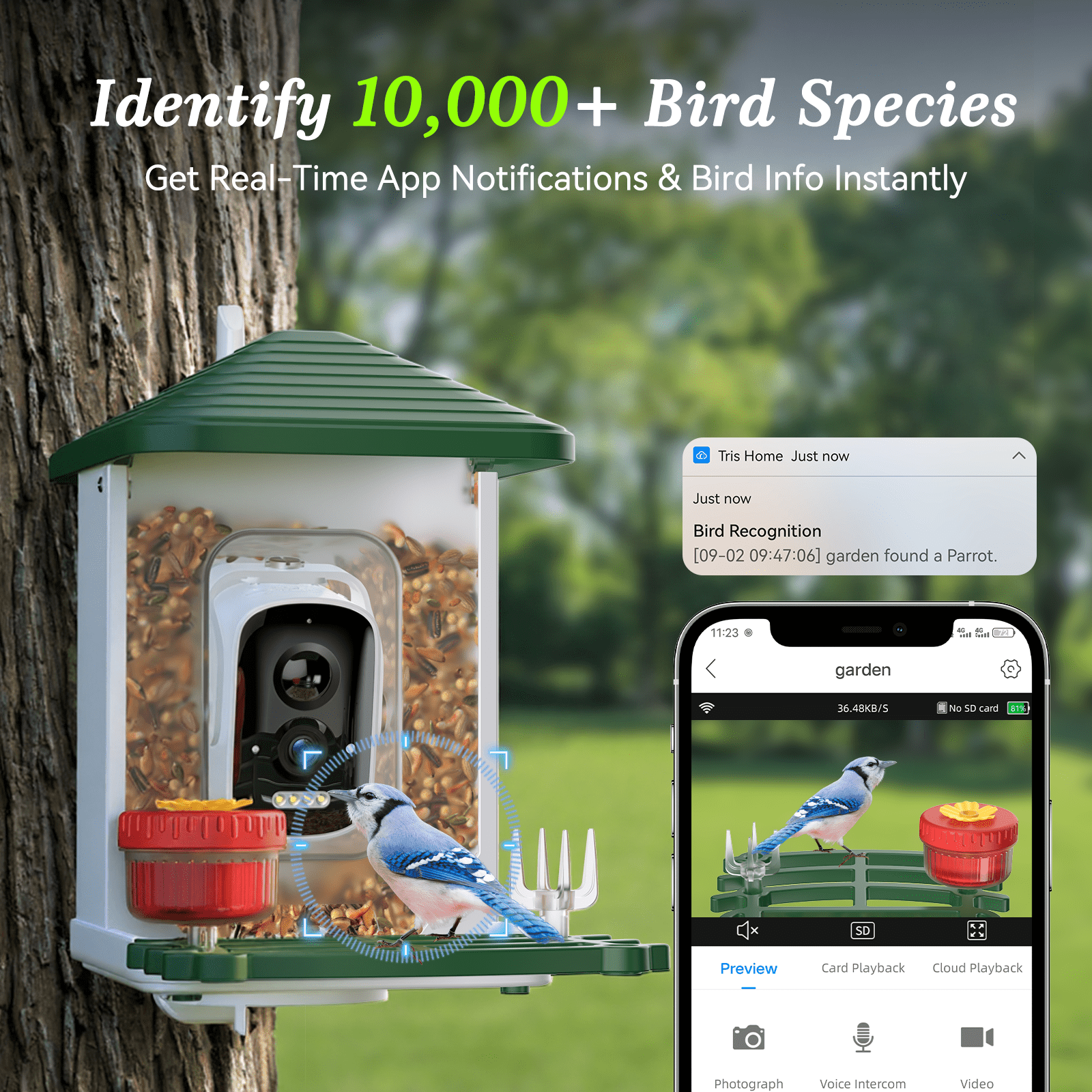Conico Smart Bird Feeder with Camera, 5MP HD AI Bird Recognition, Solar Powered WiFi Outdoor Bird Feeder, Squirrel Proof, Father’s Day Gifts for Dad Grandpa, Bird Watching Gifts