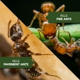 thumbnail image 5 of BioAdvanced Home Pest Insect Killer, Continuous Spray, 15 Oz, 5 of 7