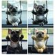 thumbnail image 4 of Swinging Dog Funny Car Mirror Pendant, French Bulldog Car Rear View Mirror Pendant For Car Mirror Doors, Home Or Office, 4 of 5