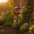 thumbnail image 2 of Cast Iron Standing Bird Feeder with Pole, Bird Feeders for Outdoors, Squirrel-Resistant Platform Bird Feeder Tray with Ground Spike for Garden, Yard & Lawn, 2 of 6