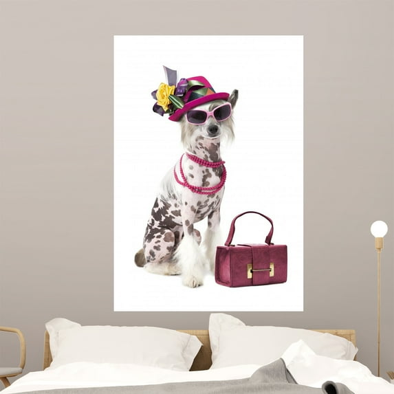Humorous Image Hairless Chinese by Wallmonkeys Peel and Stick Graphic (48 in H x 33 in W) WM64647