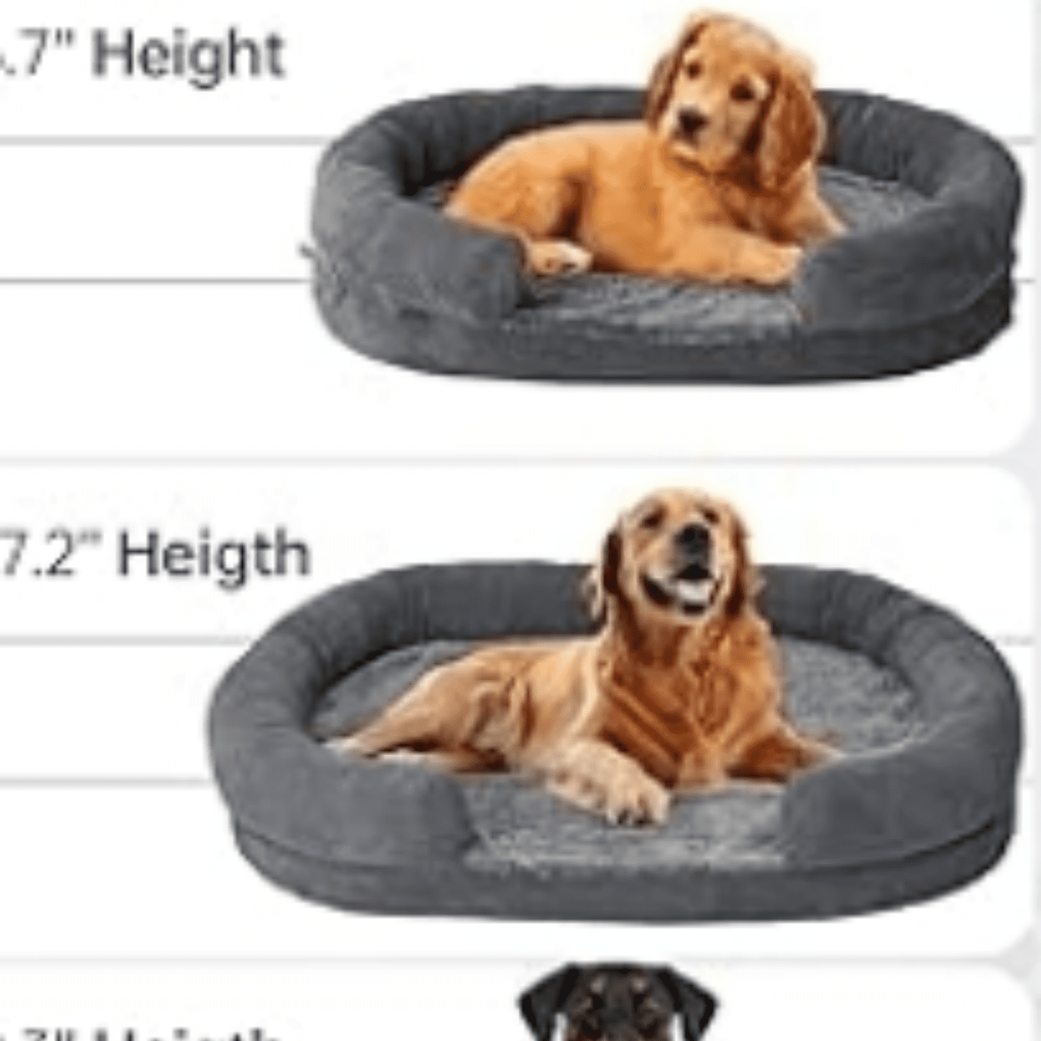 Orthopedic Dog Bed for Medium Dogs, Oval Dog Couch Bed with Sides Soft Calming Sleeping Puppy Bed Durable Pet Cuddler with Anti-Slip Bottom, M