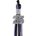 thumbnail image 3 of Endea Graduation Black/Purple/White Mixed Color Graduation Tassel with Silver Date Drop, 3 of 11