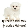 thumbnail image 3 of CafePress - Real Men Walk Maltese Light T Shirt - Men's Classic Graphic T-Shirt, 3 of 4