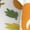 2 Black-1, variant on Squirrel Eating Nuts Print Adult Socks for Men & Women,Calf Socks, Ankle Socks,Boots Socks,Breathable Casual Sock,Unisex Crew Socks