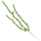thumbnail image 3 of Suculentas artificiales Perlas Hiedra carnosa Flores colgantes Verde, 3 of 9