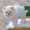 Green, variant on Adorable Pet Clothes for Cats & Small Dogs - Charming Spring & Autumn Wear