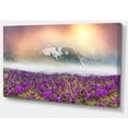 thumbnail image 2 of Spring Crocus Flowers, 2 of 3