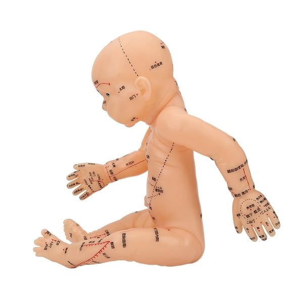 Children Massage Model Acupoint,Acupuncture Model Children Massage Children Massage Simulation Model Chinese Medicine Pediatric Model Built for Professionals