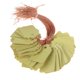 thumbnail image 2 of Herramientas 100 Piezas Etiquetas Plantas Etiquetas Plástico Etiquetas Impermeables PVC Etiquetas Plántulas Suculentas Etiquetas Jardinería Etiquetas Flores 3 6*2 5 CM (amarillo), 2 of 7