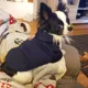 thumbnail image 4 of Sudadera Con Capucha For Perro De Invierno, Sudaderas Con, 4 of 5