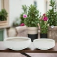 thumbnail image 4 of Brivara Smooth Bowl Planter Set (Set of 2), 4 of 6
