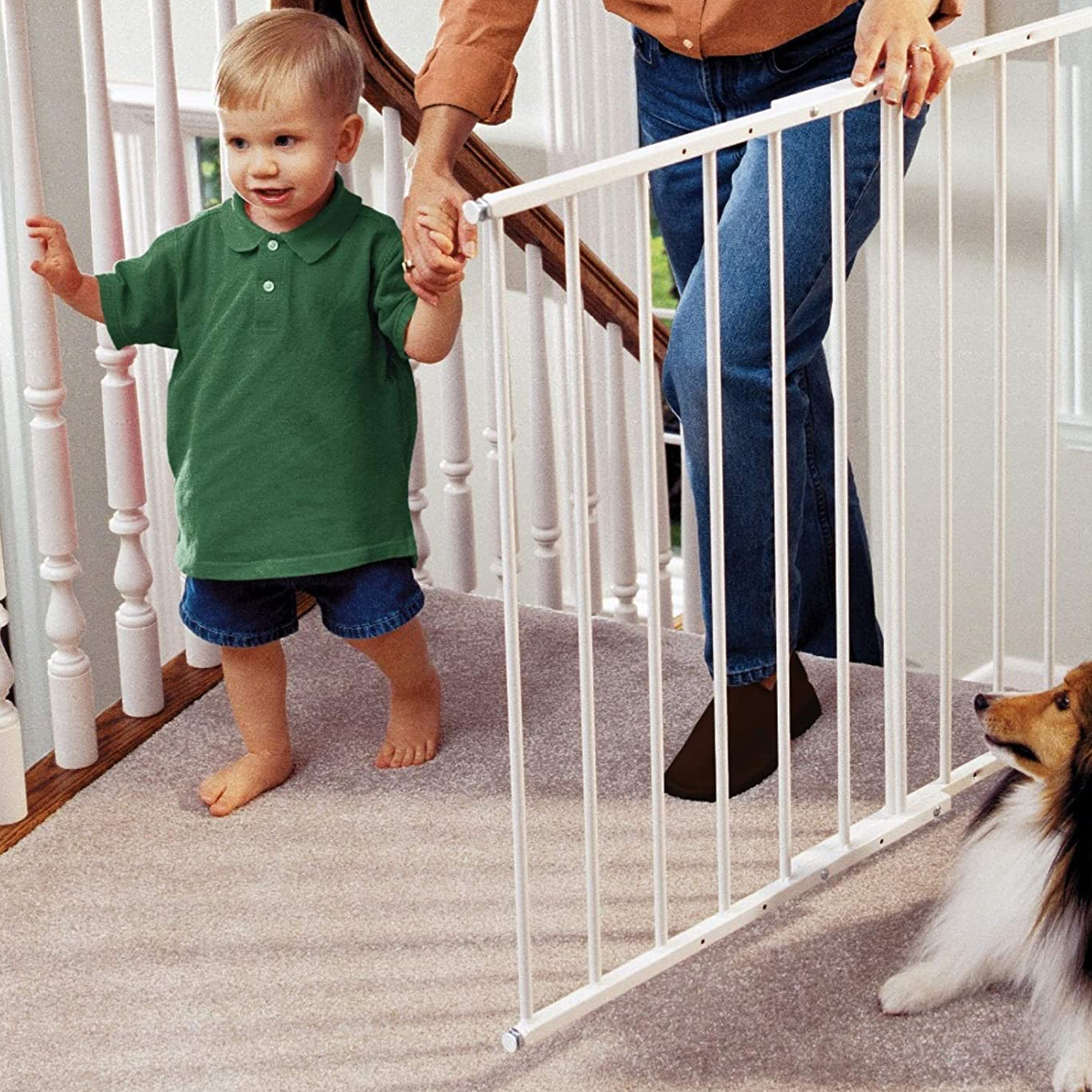 Command Pet PG5200 31"Wall Mounted Dog and Other Animal Gate, White