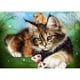 thumbnail image 1 of Pintura de diamantes (DE5746) mosaico cuadrado artesanal decoración de póster de gato tumbado DIY 40x50cm Hugtrwg Para estrenar, 1 of 1