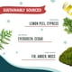 thumbnail image 4 of Vela navideña Santa Naturals Fraser con aroma a abeto, 380 ml, 4 of 4