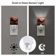 thumbnail image 3 of Xecao Sunset Blossoms Phoenix Perch for Night Light - a Wall-mounted LED Fixture with A Dusk-to-dawn Sensor, Ideal for Bedrooms, Bathrooms, Hallways, and Kitchens-US, 3 of 7