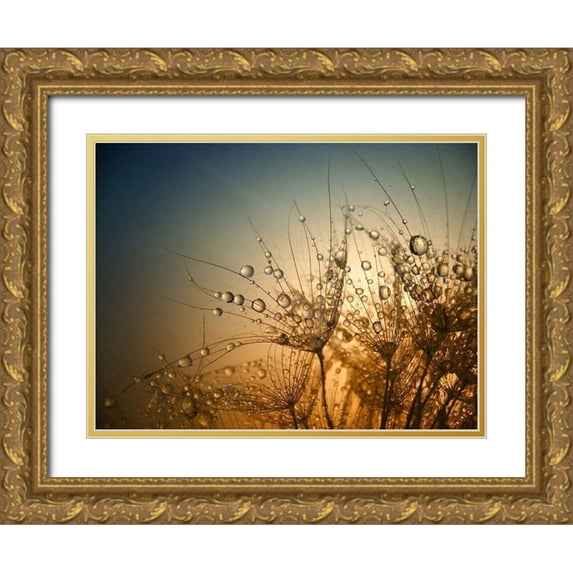 Lazarov, Dimitar 14x12 Gold Ornate Wood Framed with Double Matting Museum Art Print Titled - Tender is the Night
