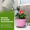 Clear Plastic Plant Saucer Drip Trays, 5 Pack of 10 Inch Indoor Flower ...