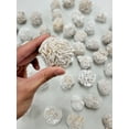 thumbnail image 3 of Large Desert Rose Crystal Specimens Raw Selenite Gypsum Sand Rose Cluster, 3 of 6