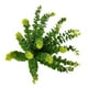 thumbnail image 5 of Plantas artificiales Toystoory 10 piezas Eucalipto Verde Decoración interior, 5 of 6