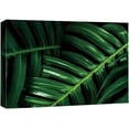 thumbnail image 3 of PixonSign Canvas Print Wall Art Dark Green Jungle Leaf Nature Wilderness Photography Realism Contemporary Closeup Relax/Calm Multicolor Ultra for Living Room, Bedroom, Office - 16x24, 3 of 5